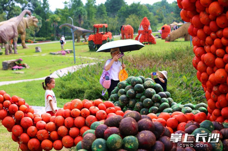 大地艺术展色彩鲜艳、创意十足。 大地艺术展色彩鲜艳、创意十足。