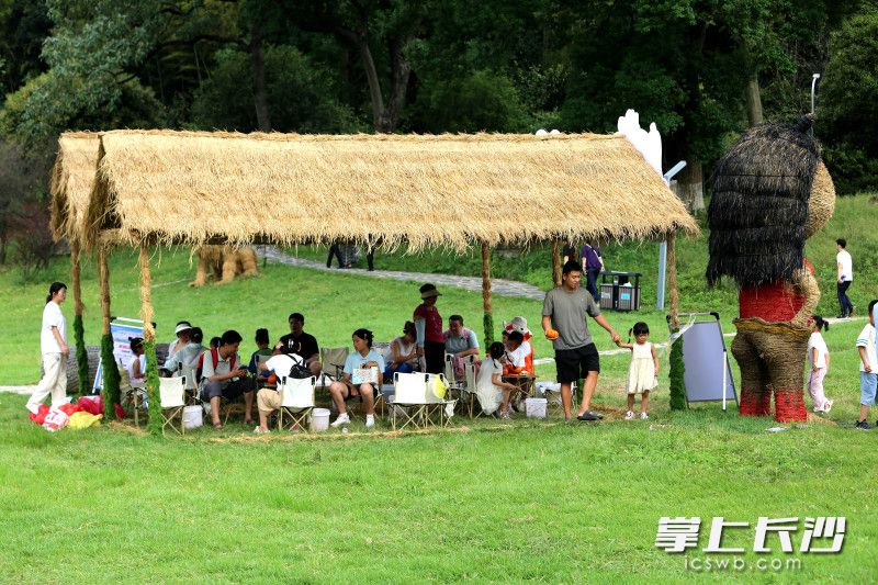 节会活动丰富市民假日休闲生活。 节会活动丰富市民假日休闲生活。