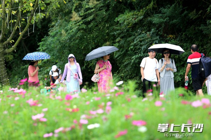 生态之美让人流连忘返。 生态之美让人流连忘返。