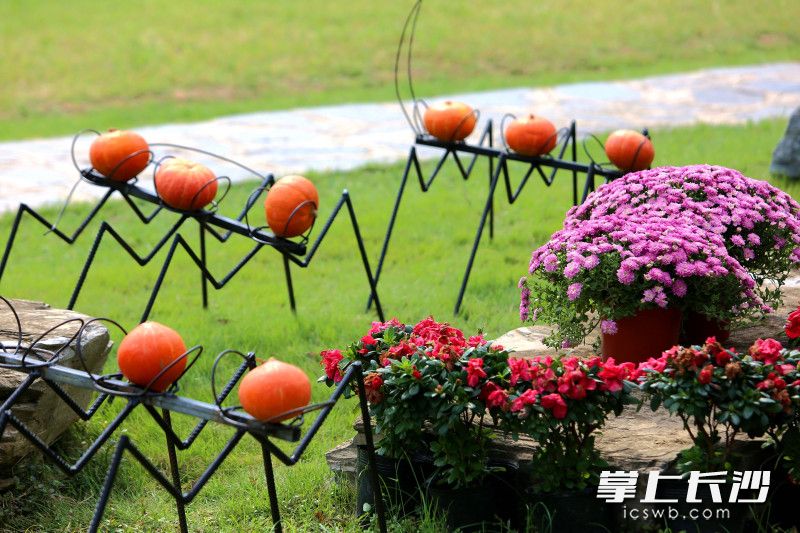 艺术造型散落草坪。 艺术造型散落草坪。