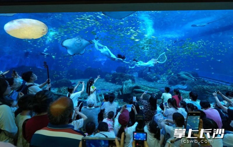 长假期间，大王山旅游度假区8天累计接待游客超34万人次，同比增长超6万人次。 均为通讯员供图