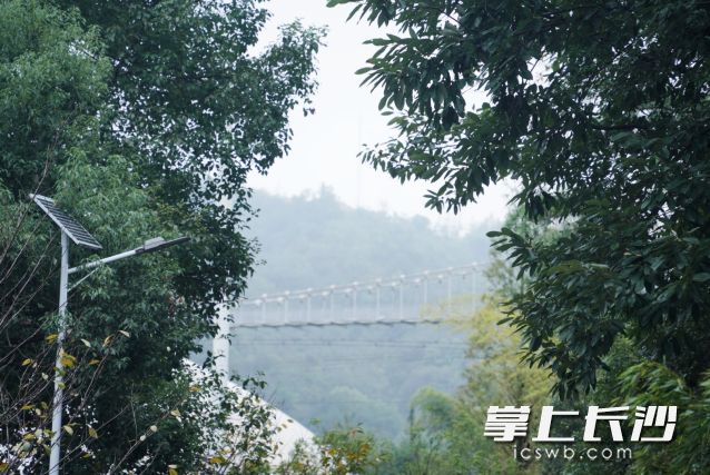本周长沙“高热不退”,下周“盛夏体验”即将被打破。 均为长沙晚报全媒体记者舒元臻摄 本周长沙“高热不退”,下周“盛夏体验”即将被打破。 均为长沙晚报全媒体记者舒元臻摄