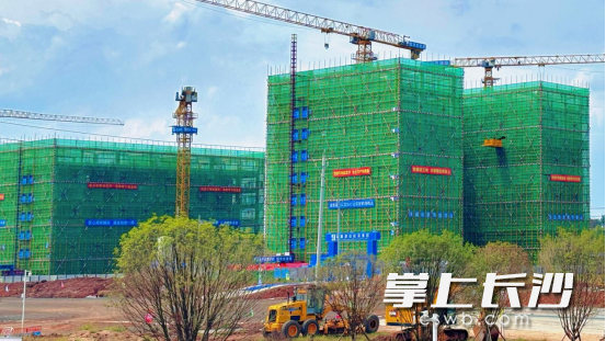 项目已有13栋建筑完成封顶。均为通讯员供图