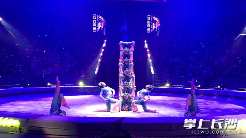 11株“春苗”带着中国戏曲的韵味与湖南柔术的唯美，赢得世界喝彩。