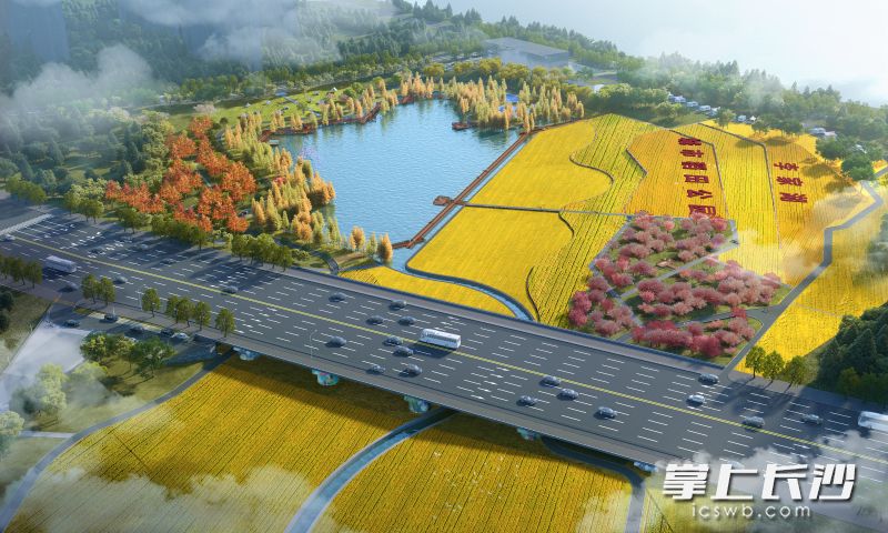 李家湖城市稻田公园效果图。