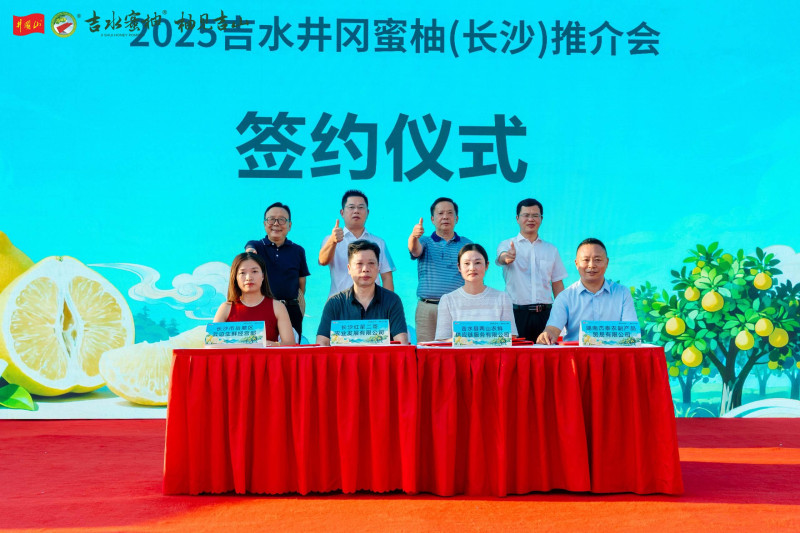 2025吉水井冈蜜柚（长沙）推介会签约仪式。