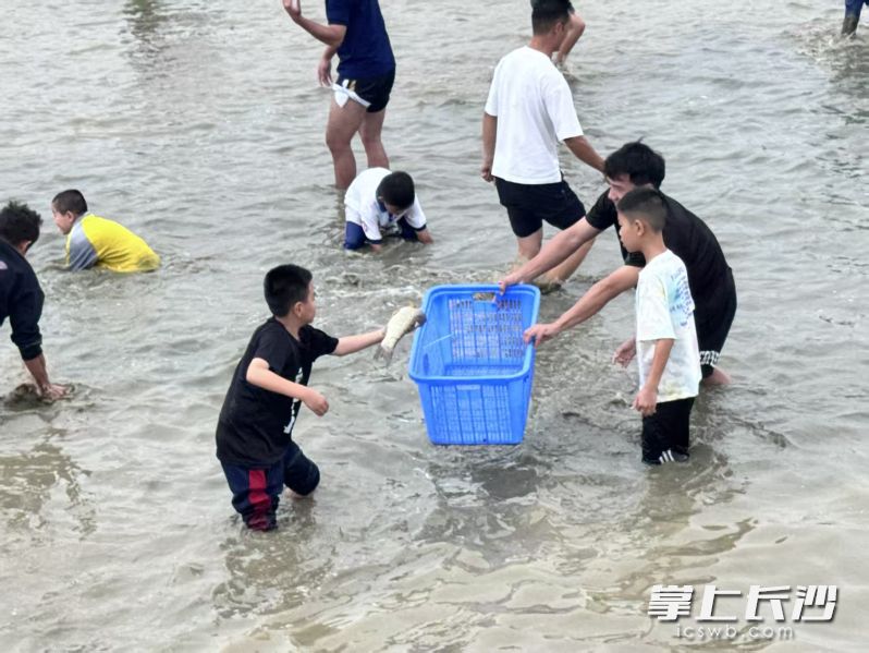 快，我捉到了一条鱼！