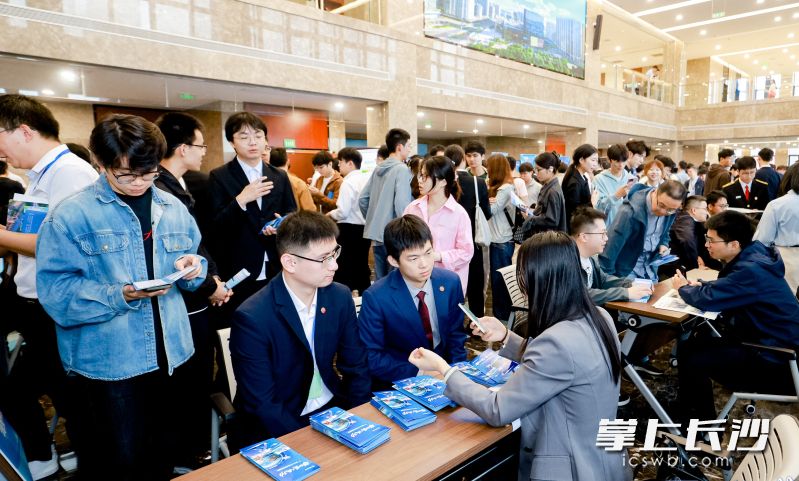在湘孵化基地、投资机构和企业与青年学子对接交流。均为主办方供图