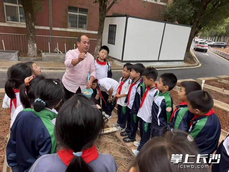 38块菜地的落成，标志着小学部和初中部的劳动课终于从“云端”落到“田间”。