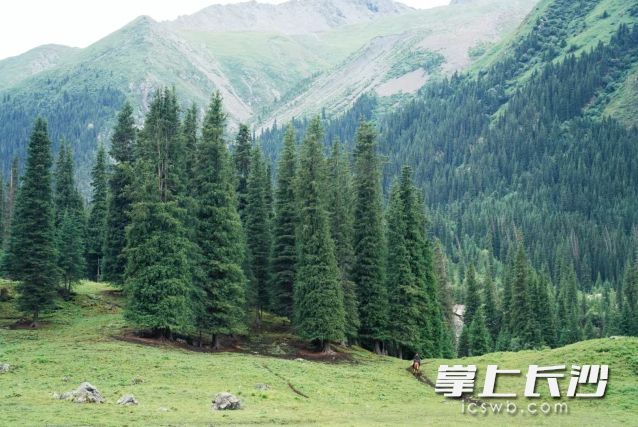 省气象台预计，17日晚到20日湖南将迎今年入秋以来最强降温过程。 长沙晚报全媒体记者 舒元臻 摄