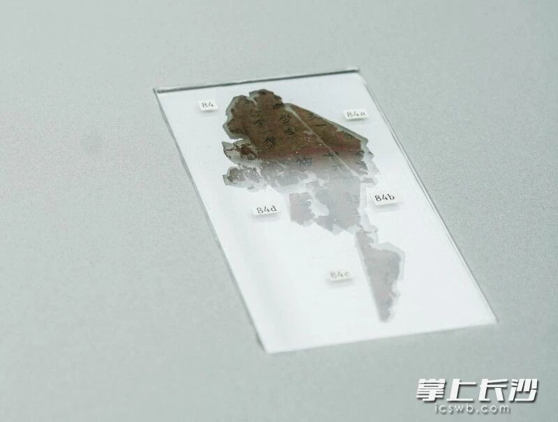 楚帛书《五行令》残片,可见醒目的红色界栏。 楚帛书《五行令》残片,可见醒目的红色界栏。