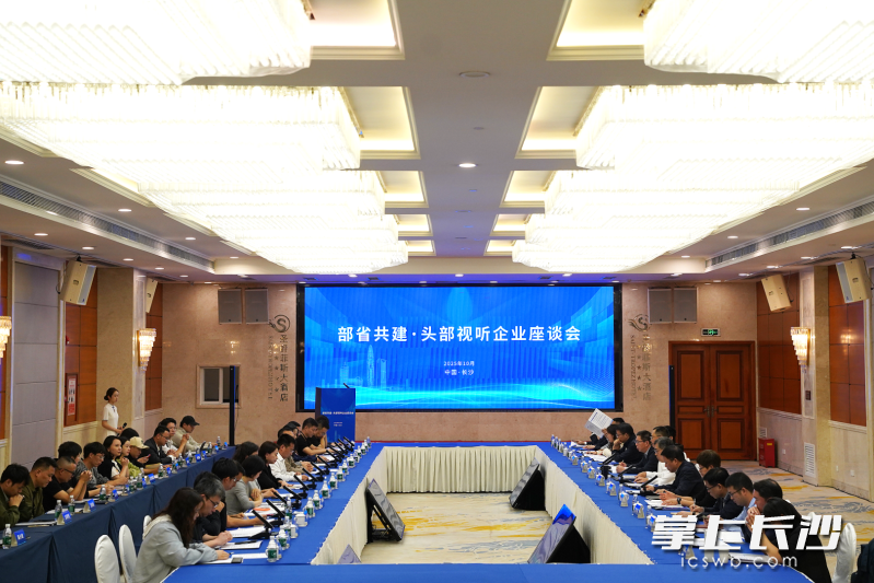 座谈会现场。 均为长沙晚报全媒体记者尹昊天摄