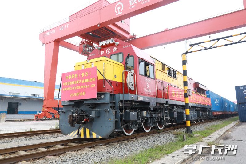 10月15日,一列满载哈萨克斯坦优质小麦、大麦的国际班列顺利抵达长沙国际铁路港。均为长沙晚报通讯员 林依 摄 10月15日,一列满载哈萨克斯坦优质小麦、大麦的国际班列顺利抵达长沙国际铁路港。均为长沙晚报通讯员 林依 摄