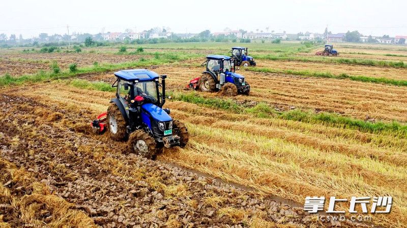 秸秆还田作业。 秸秆还田作业。