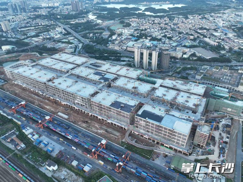 平湖南物流基地二期正加速推进建设。