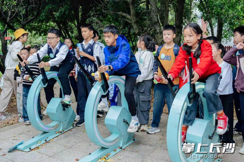 趣味游戏中深化节能认知。 趣味游戏中深化节能认知。