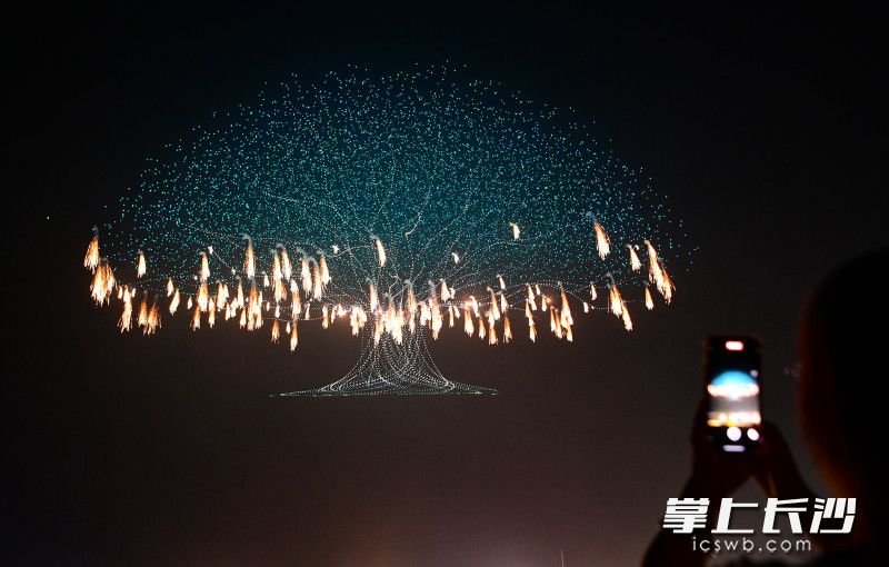 一株“参天大树”拔地而起,千发“金羽”烟花在树冠间流光溢彩、灵动起舞。 一株“参天大树”拔地而起,千发“金羽”烟花在树冠间流光溢彩、灵动起舞。