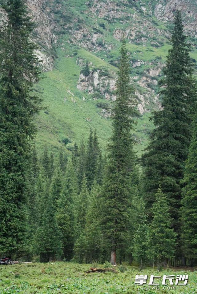 周中起天气转好,最高气温回升至20℃左右。 长沙晚报全媒体记者 舒元臻摄 周中起天气转好,最高气温回升至20℃左右。 长沙晚报全媒体记者 舒元臻摄