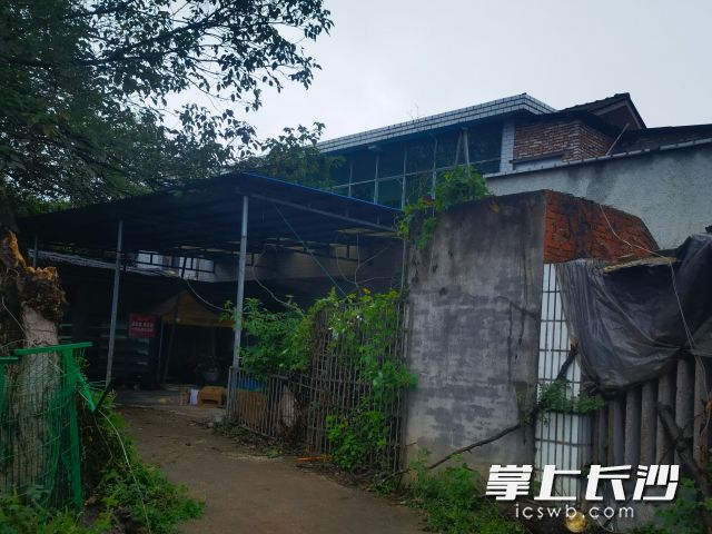 大树被移除,受损电线完成临时固定,道路恢复通行。 大树被移除,受损电线完成临时固定,道路恢复通行。