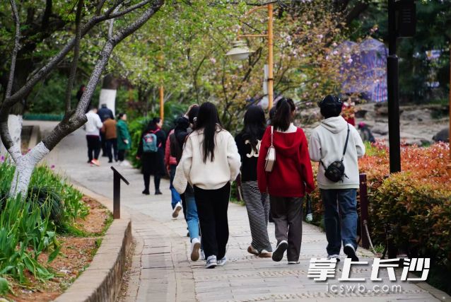 市民们换上了厚厚的外套。 长沙晚报全媒体记者 舒元臻 摄