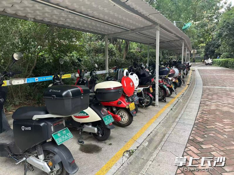 小区内停放电动车的棚子。 小区内停放电动车的棚子。