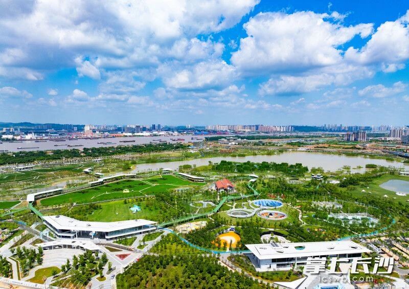 蓝天白云下的大泽湖近自然湿地公园。邹麟 摄 蓝天白云下的大泽湖近自然湿地公园。邹麟 摄