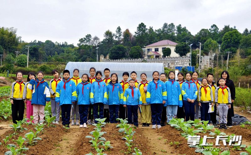 劳动实践基地打个卡。 劳动实践基地打个卡。