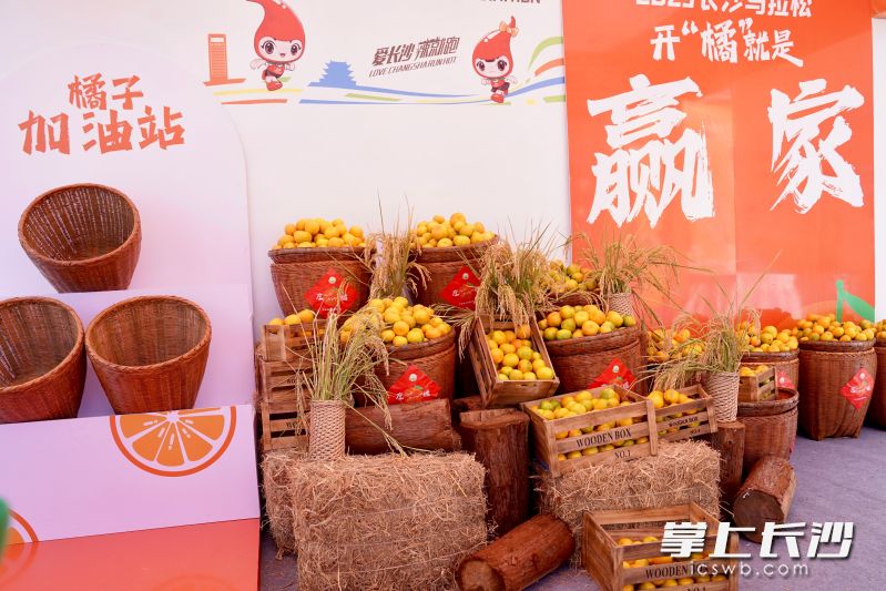 步入双江口镇展位,仿佛穿越都市喧嚣,踏入诗意田园。 步入双江口镇展位,仿佛穿越都市喧嚣,踏入诗意田园。