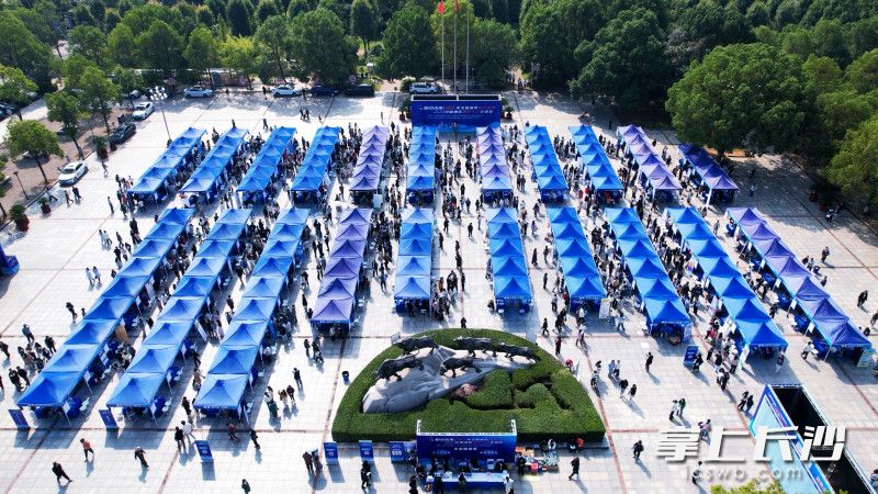 中部六省“牵手”260余家重点企业设摊揽才，释放岗位1万余个。