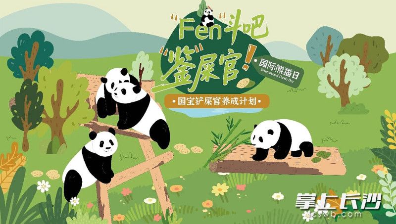 国际熊猫日之际，长沙生态动物园邀你来当“鉴屎官”。均为园区供图