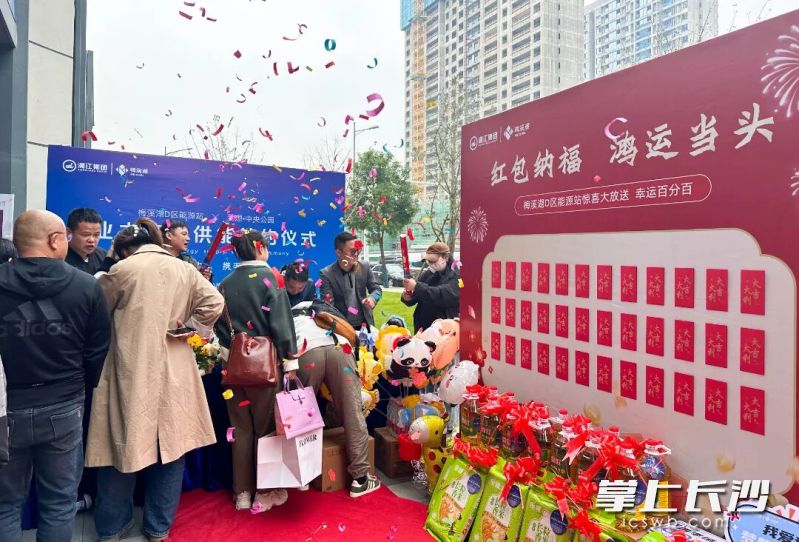 梅溪湖D区能源站集中供能签约仪式现场。