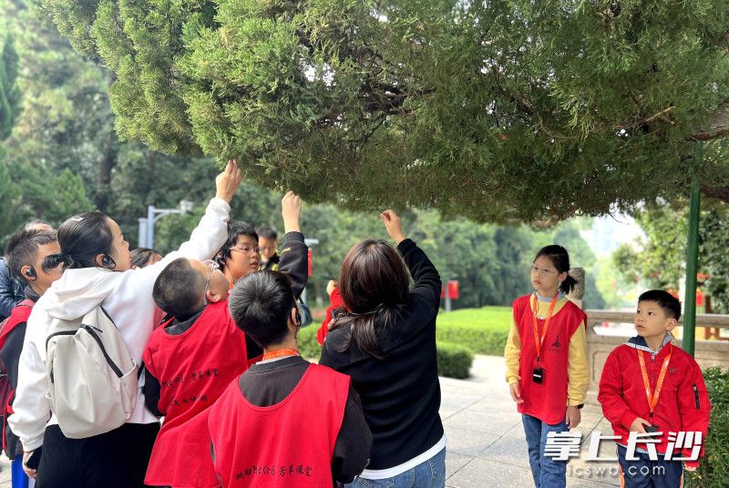 “馆园融合”开展重阳主题活动 ，体验节日文化。 均为长沙晚报全媒体记者贺文兵摄