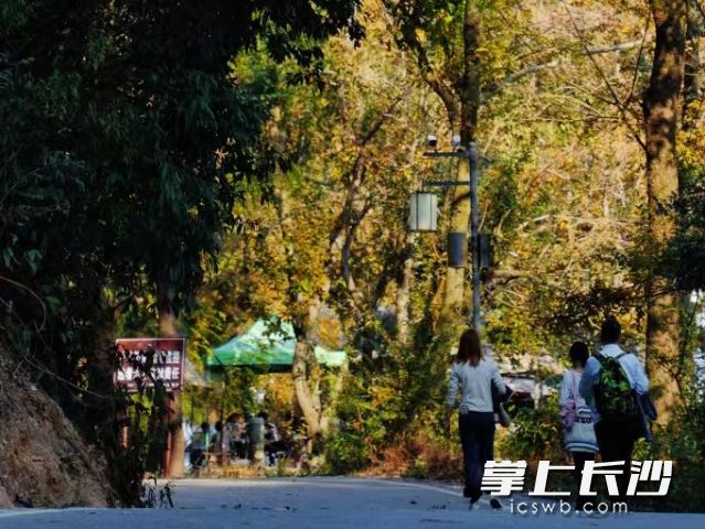 近日，长沙天气开启了“秋日福利模式”。  长沙晚报全媒体记者 舒元臻 摄