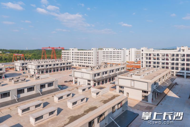 玉湖冷链（长沙）交易中心外立面施工即将完工。 均为长沙晚报通讯员刘思源供图