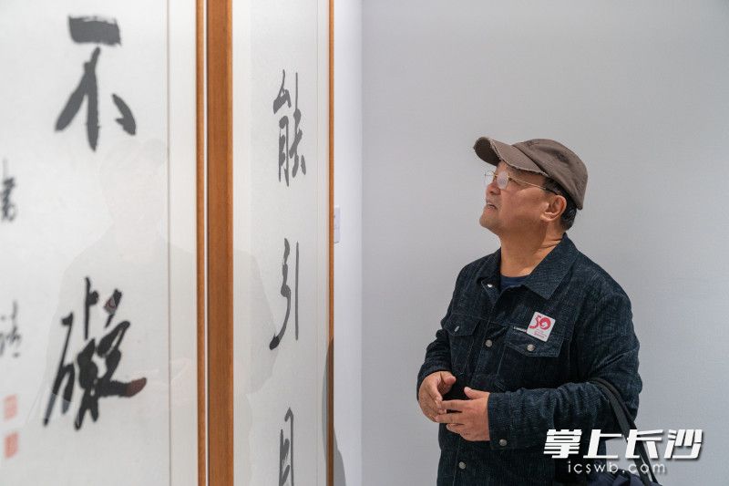 “涵本养原——邹传安书法作品展启幕，不少书法家与书法爱好者纷纷前来观展。均为长沙晚报全媒体记者 周数邑 摄