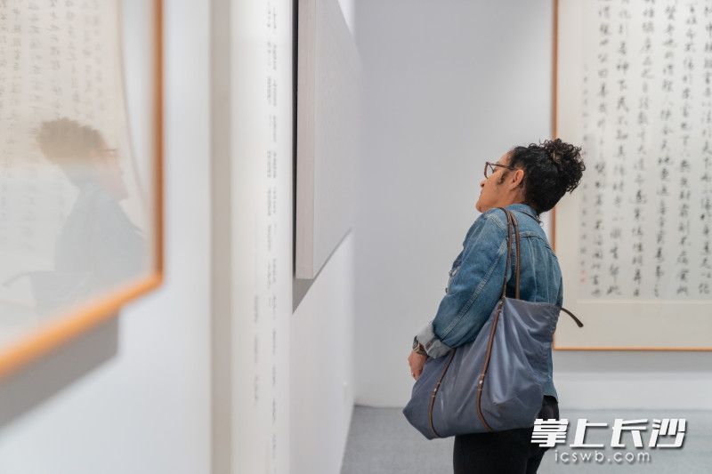 “涵本养原——邹传安书法作品展启幕，不少书法家与书法爱好者纷纷前来观展。