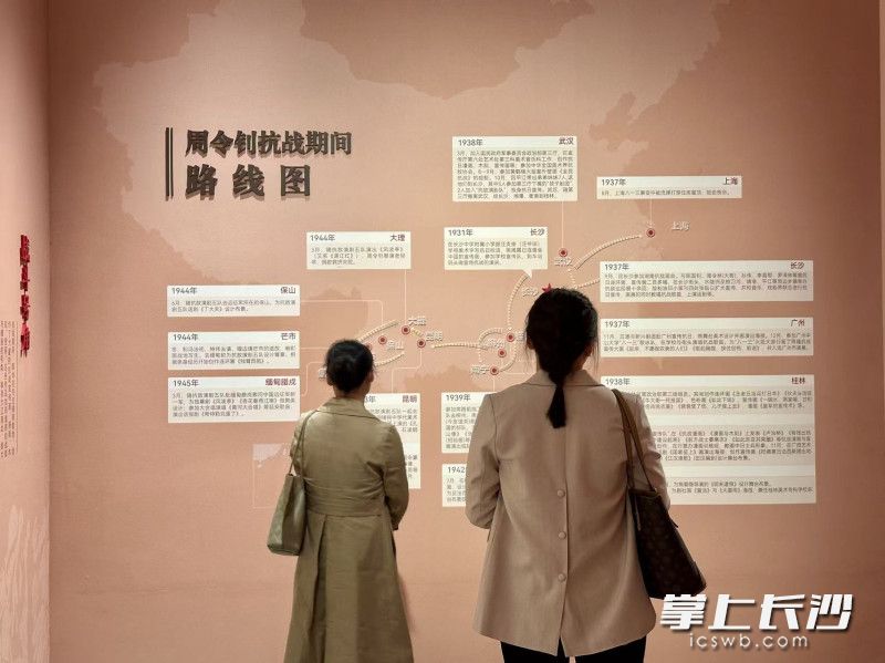 市民游客观展。