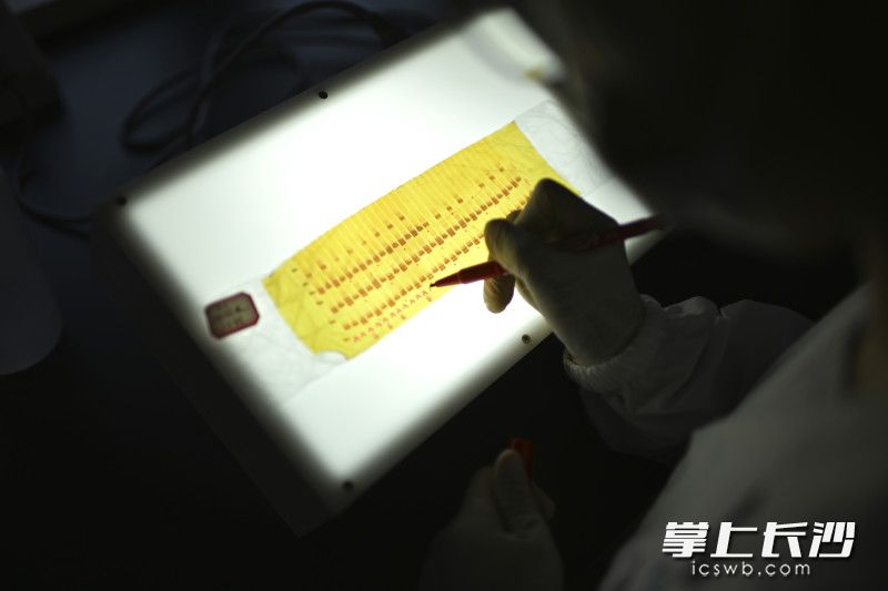 【2】隆平高科种业科学研究院生物技术实验室，研究人员正在进行水稻基因检测。可以区分不同的基因类型。