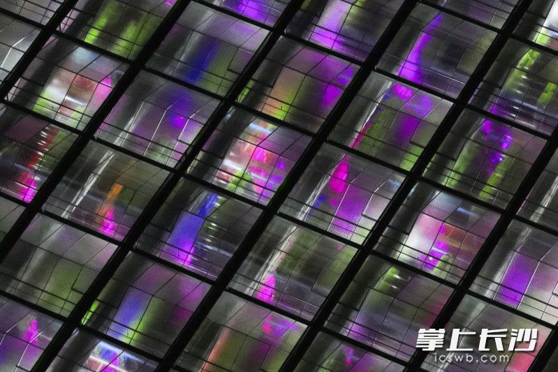 【7】2025年4月14日，湖南长沙，长沙县春华镇的智能化育秧工厂进入夜晚模式，在赤橙黄绿青蓝紫的人工“太阳” 的照射下，开启24小时全天候生长模式。