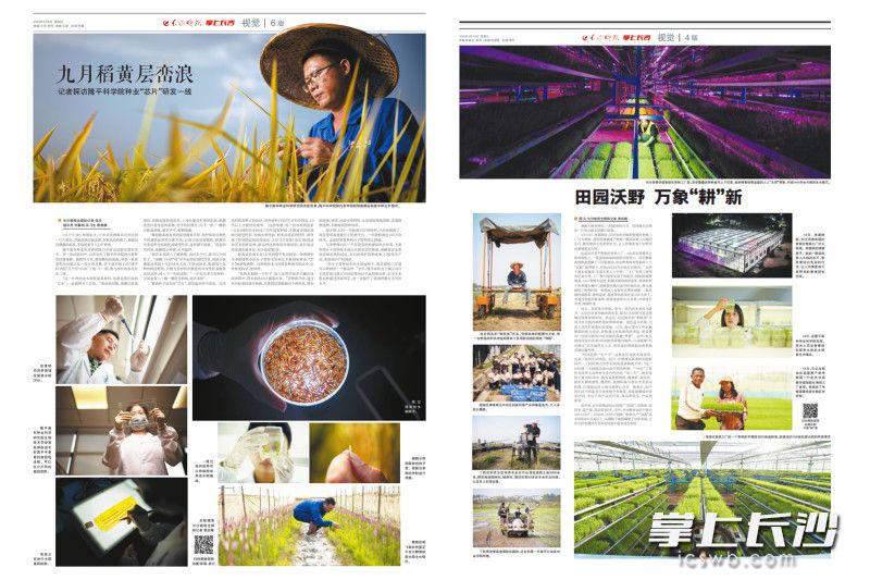 黄启晴主创的报纸视觉版。