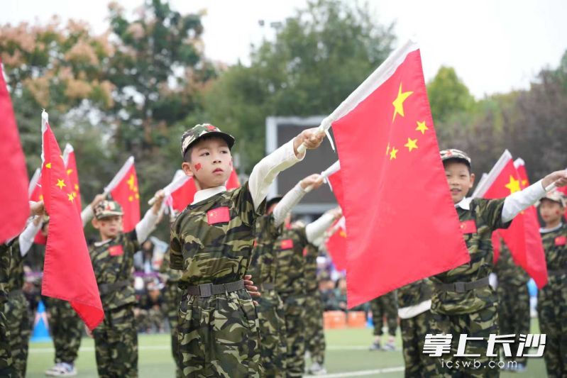 校运会设计全员军事秀。 校运会设计全员军事秀。