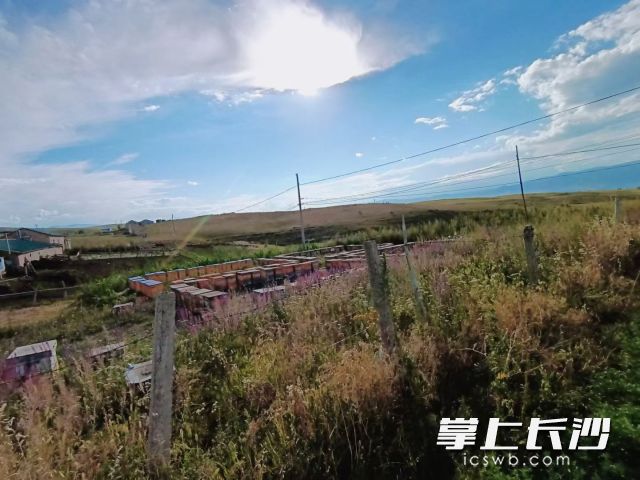 一阵秋雨一阵凉,长沙迎降温。 长沙晚报全媒体记者 舒元臻 摄 一阵秋雨一阵凉,长沙迎降温。 长沙晚报全媒体记者 舒元臻 摄