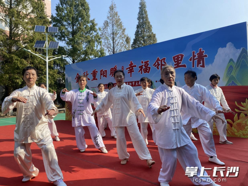 长者们带来太极拳表演。 长者们带来太极拳表演。