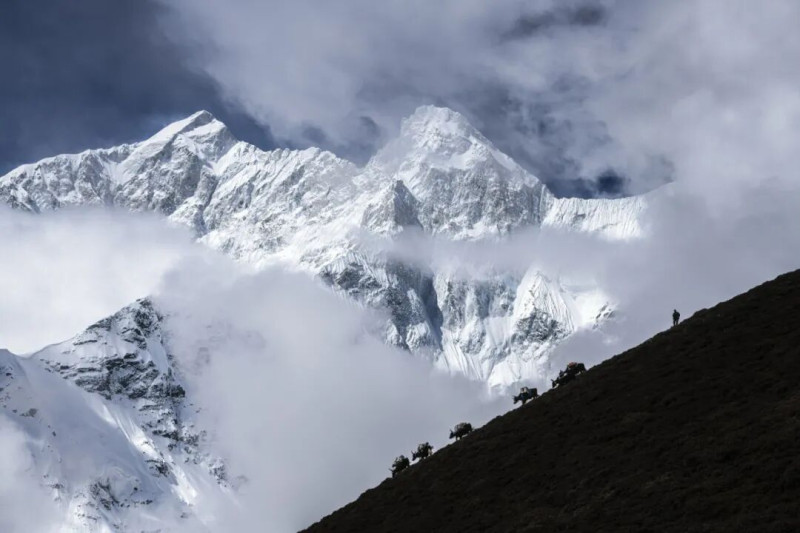 2023年5月28日,西藏定日,行走在海拔7804米珠穆朗卓雪山前的牦牛队。(《雪域牦牛工》组图之一) 赵敏 摄 2023年5月28日,西藏定日,行走在海拔7804米珠穆朗卓雪山前的牦牛队。(《雪域牦牛工》组图之一) 赵敏 摄