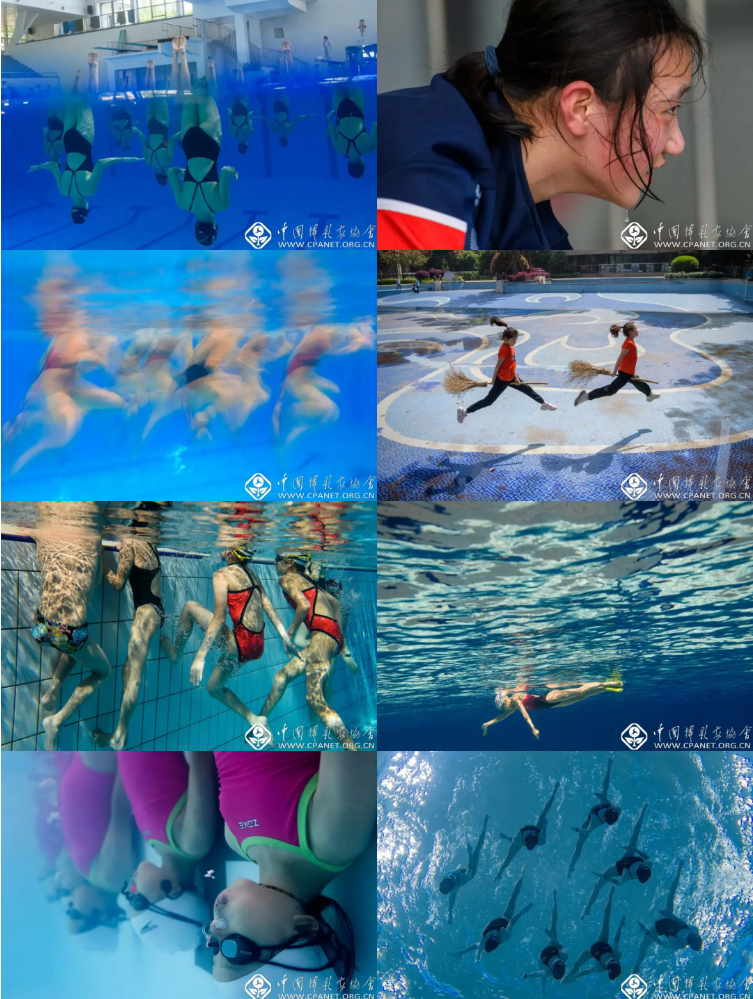 水中绽放的金花(纪录类组照) 肖毅 摄 水中绽放的金花(纪录类组照) 肖毅 摄