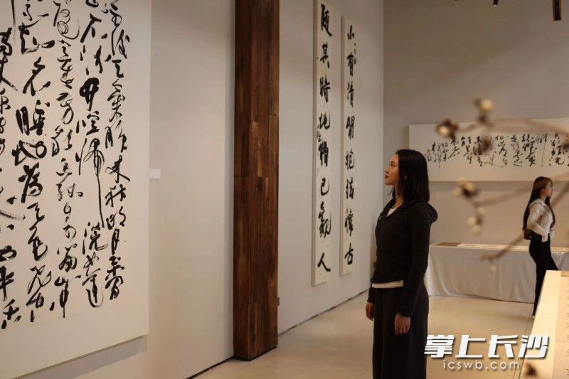 “任意东西——张六弢作品展”吸引了不少市民前来观看打卡。 均为长沙晚报通讯员周颖佳供图
