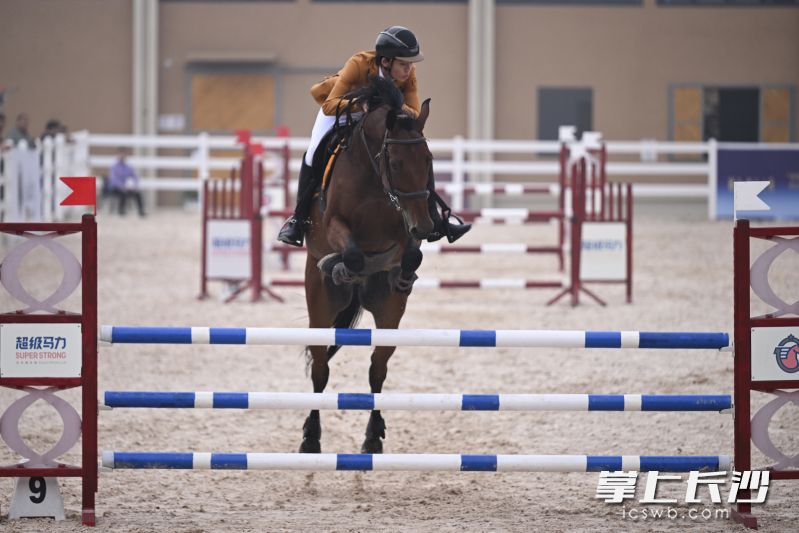 10月12日,市运会马术比赛(青、少年组)在长沙县超级马力马术俱乐部(牧也店)举行。 长沙晚报全媒体记者 黄启晴 摄 10月12日,市运会马术比赛(青、少年组)在长沙县超级马力马术俱乐部(牧也店)举行。 长沙晚报全媒体记者 黄启晴 摄