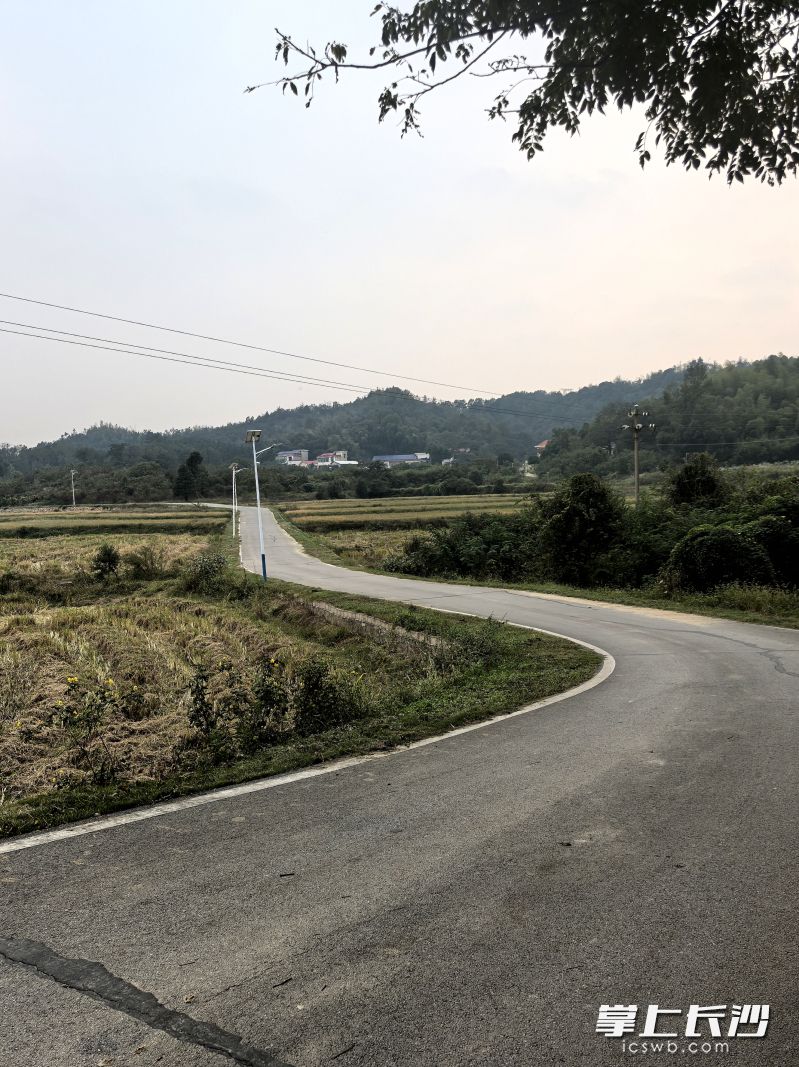 洋西塘村32公里长的主干道的蜕变，让5000多名村民受益。 均为受访者供图