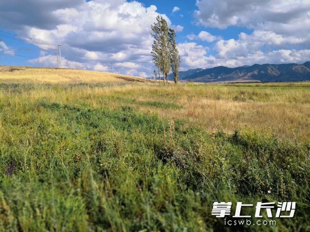 11月开局，“晴雨相间”将是主旋律。 长沙晚报全媒体记者 舒元臻 摄