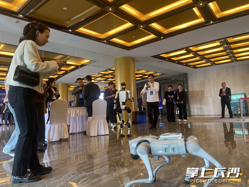 大会现场的机器狗引发与会者关注。长沙晚报全媒体记者 周斌 摄 大会现场的机器狗引发与会者关注。长沙晚报全媒体记者 周斌 摄